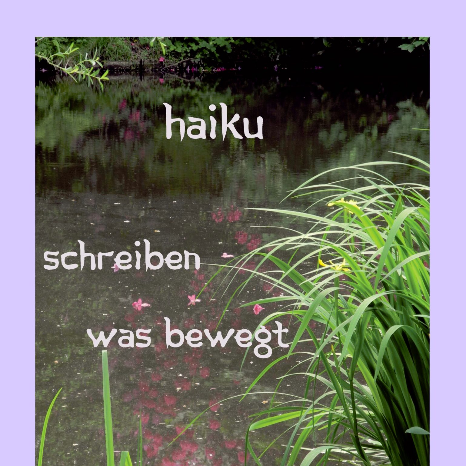 Read more about the article Haiku