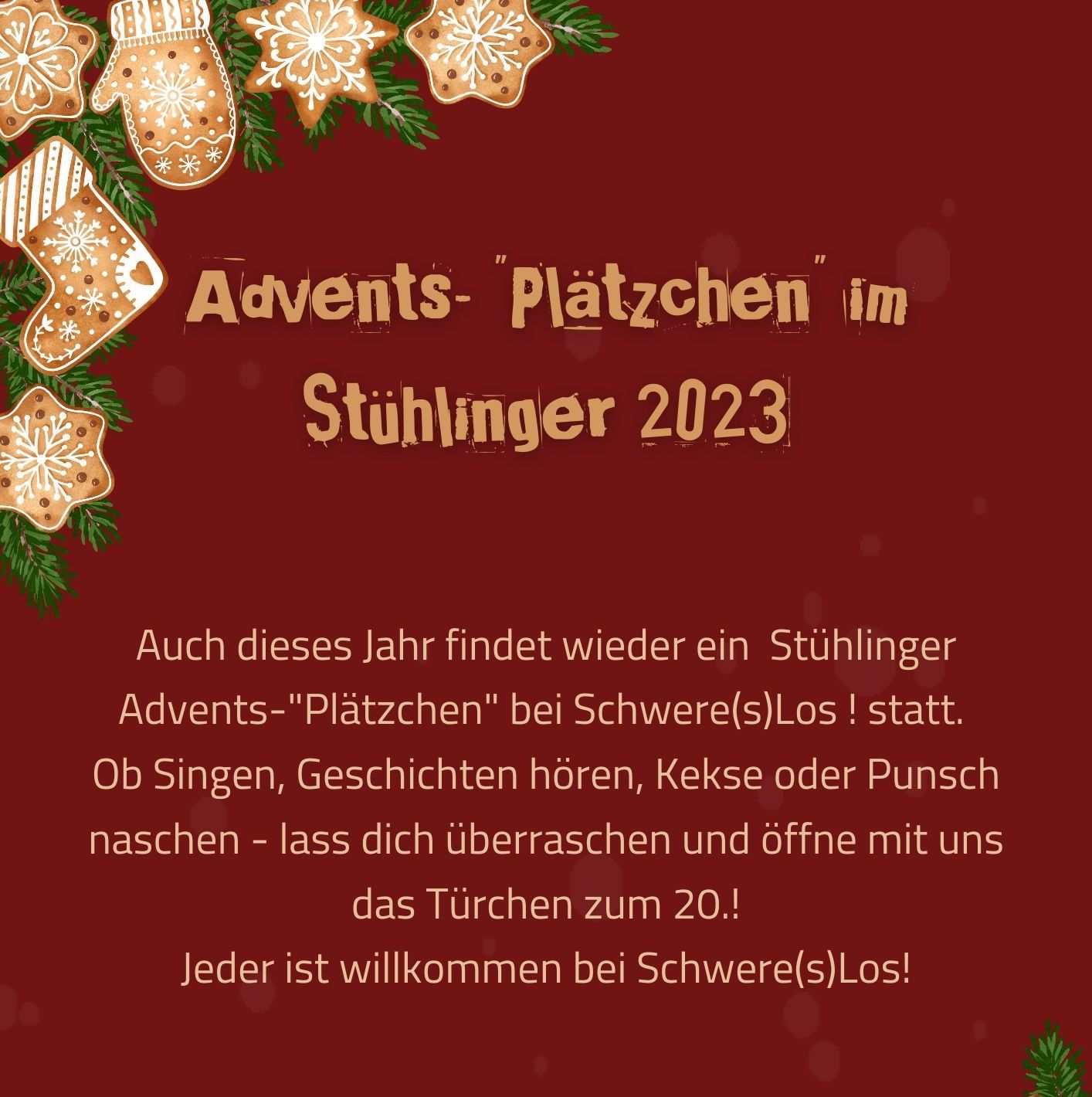 Read more about the article Advents-Plätzchen